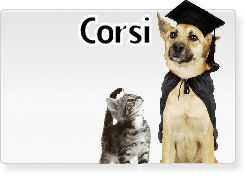 https://www.carpratiche.com/corsi